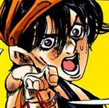 NARANCIA GHIRGA